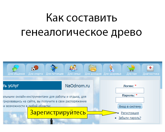 Слайд-шоу: кликните мышкой и листайте стрелкой вправо Фото