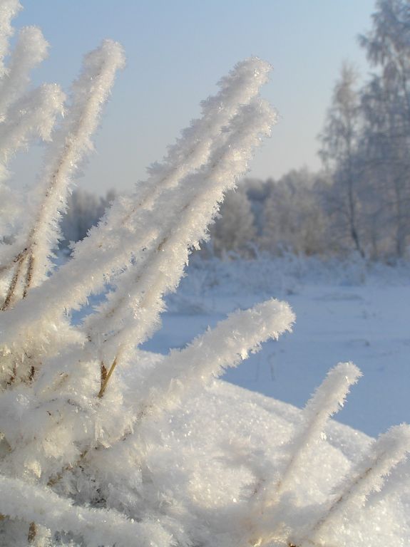 Фото для Зима