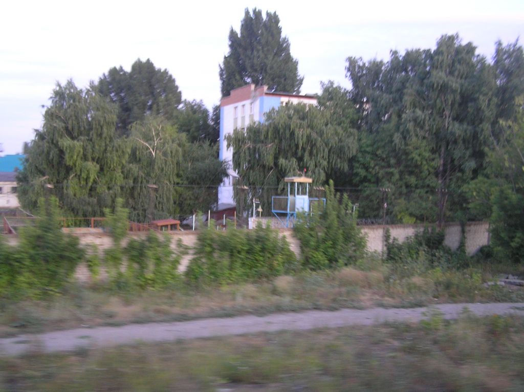 Фото для Кустарь. Книга 1. Пролог
