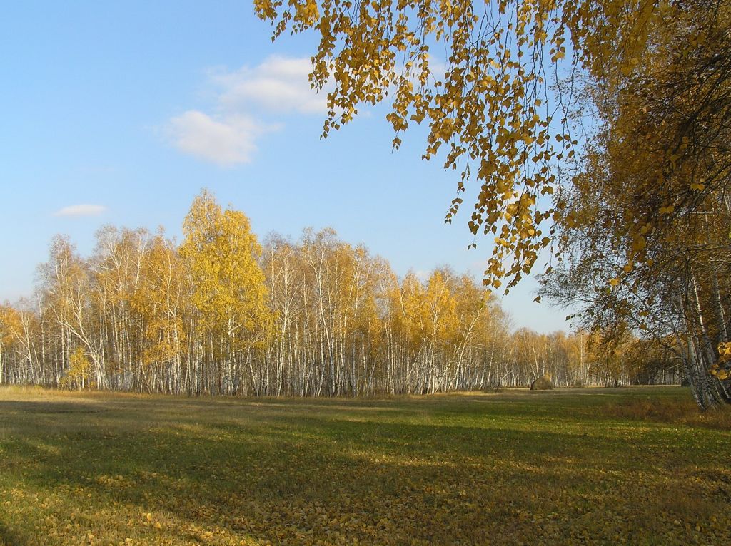 Фото для Шумит страда