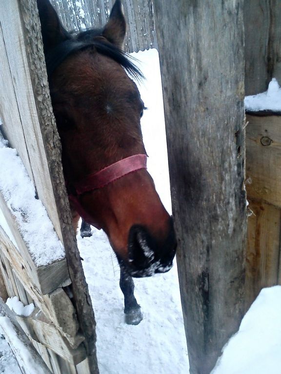 Фото для Эсенька, желаем тебе счастья)