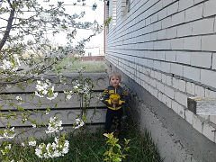 Фото для Исполни мечту для многодетной семьи