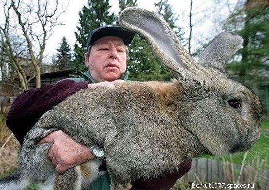 Фото для У кого то есть возможность а у кого мечта