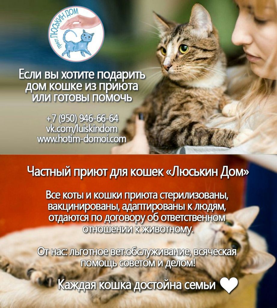 Фото для Приют для кошек "Люськин Дом"