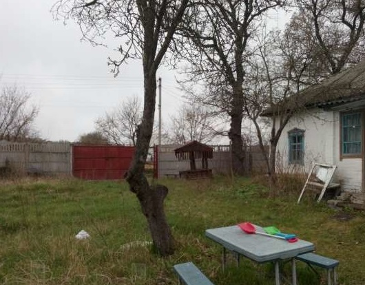 Фото для Желание работать на своей земле