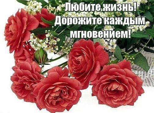 Фото для Дать сердцу прожить дольше