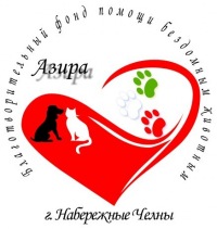 Фото для Помощь приюту бездомных животных г. Набережные Челны «АЗИРА»
