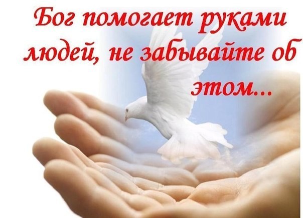 Фото для Коллекторы атакуют