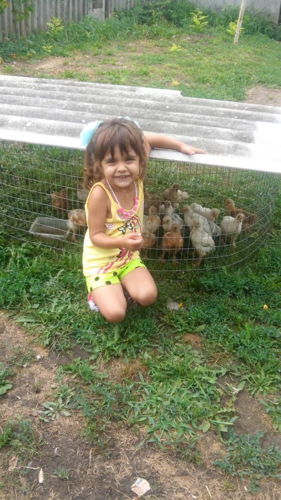 Фото для Помогите купить инкубатор
