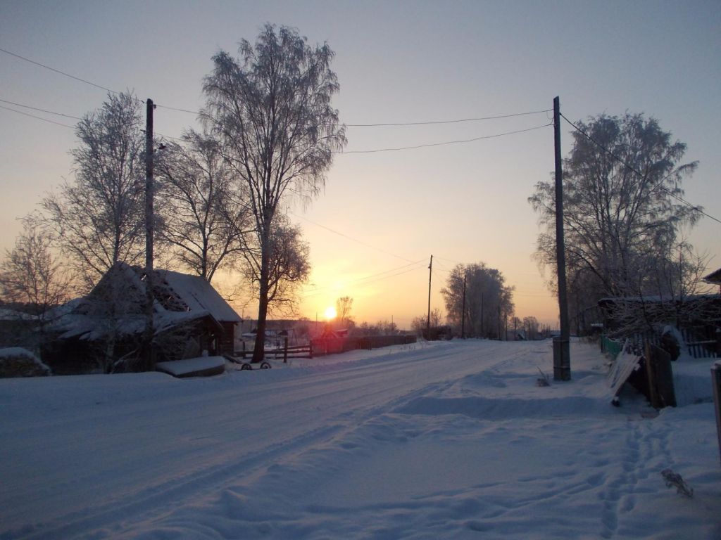 Фото для Не хочу умереть в подвале…