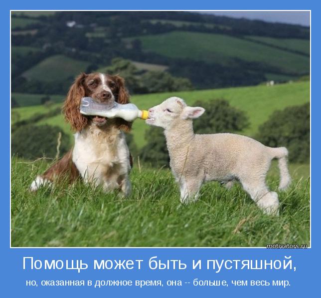 Фото для Кто, если не мы сами?