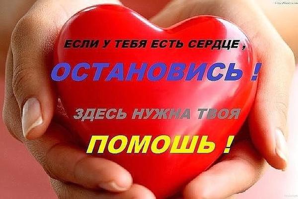 Фото для Понять и помочь или пройти мимо?