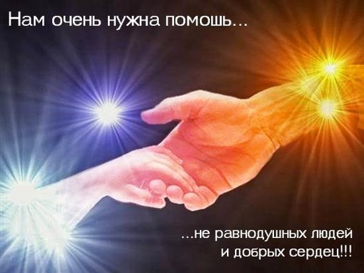 Фото для Когда это кончится или только начало?