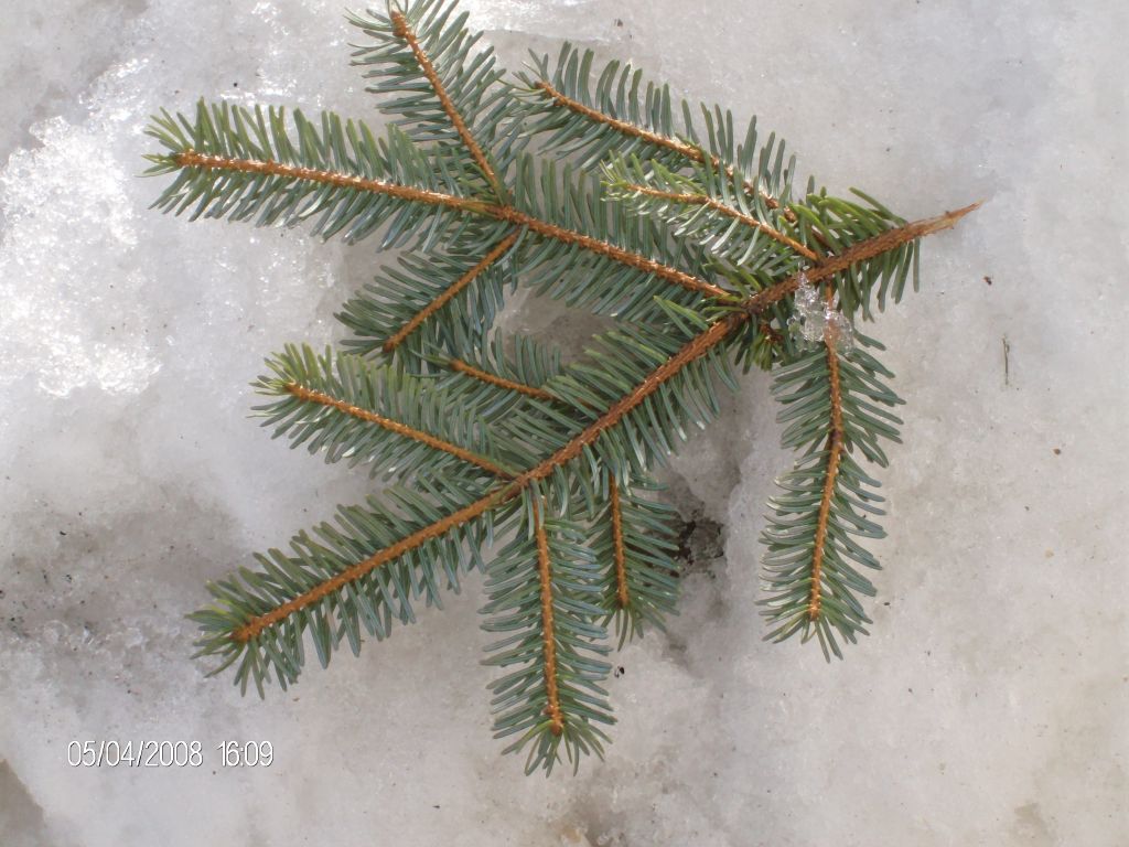 Фото для Купить дом для себя