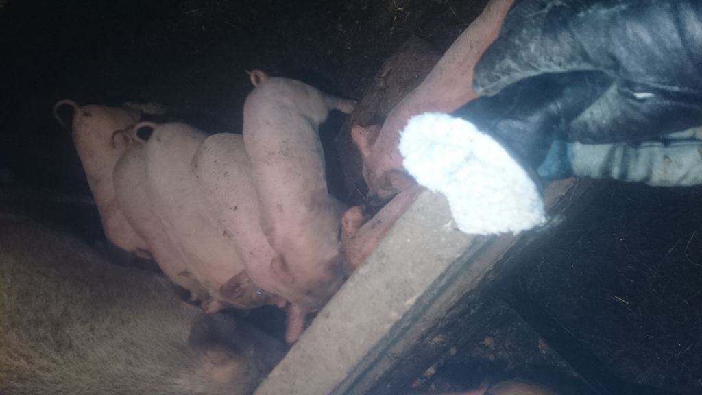 Фото для Помогите пожалуйста собрать на грузовой автомобиль
