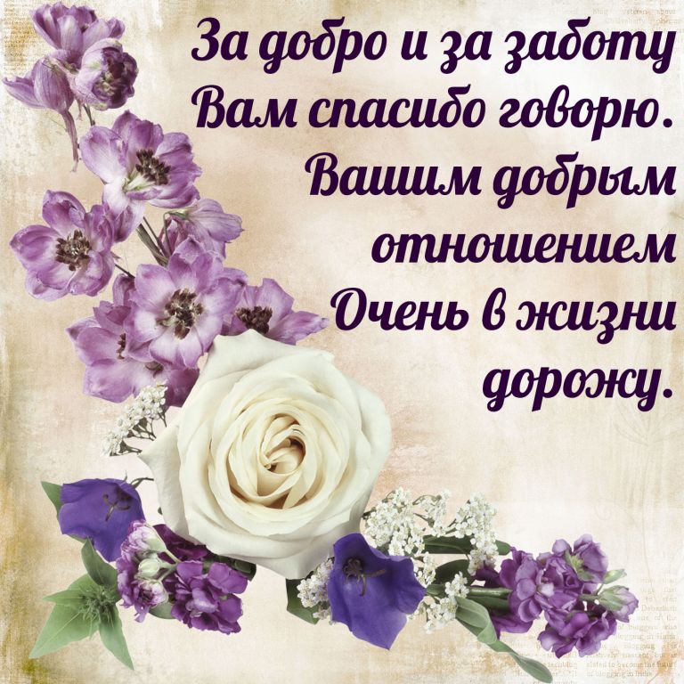 Фото для Так мы и жили