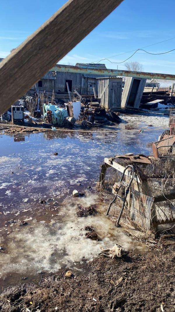 Фото для Помощь родителям с переездом 