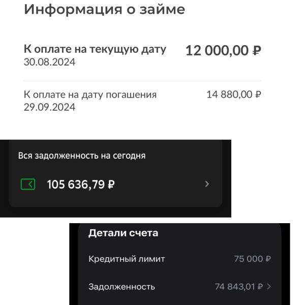 Фото для Нет средств для жизни и погашения долгов.