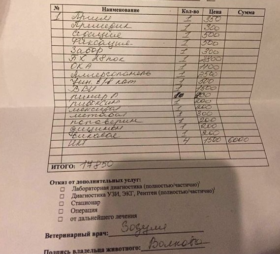 Фото для Помощь кошке