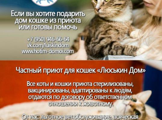 Фото для Приют для кошек "Люськин Дом"