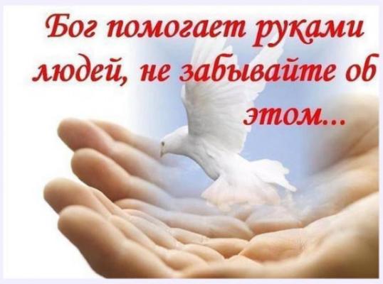 Фото для Крик о помощи многодетной матери