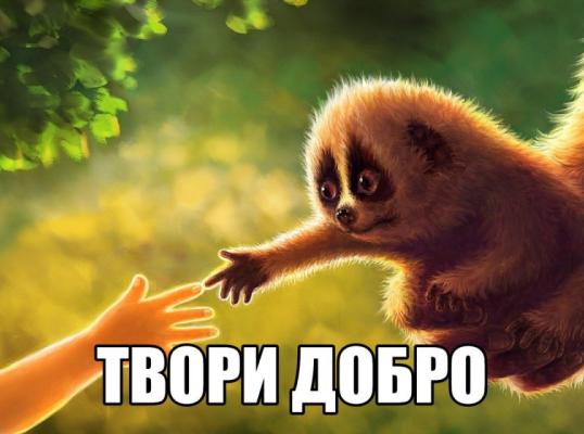 Фото для Нуждаюсь в средствах для помощи своим близким