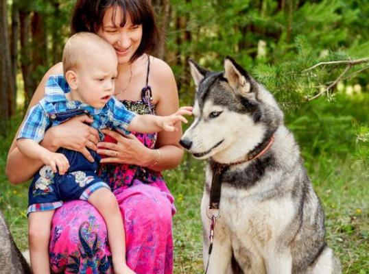 Фото для Сделать первые шаги - помогите исполнить мечту!