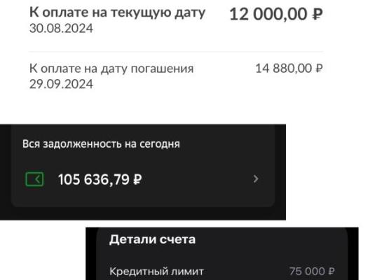 Фото для Нет средств для жизни и погашения долгов.