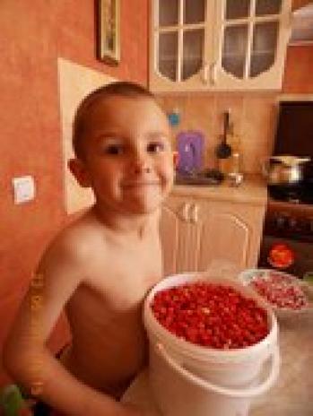 Фото для Наталья Михайловна Кожокару