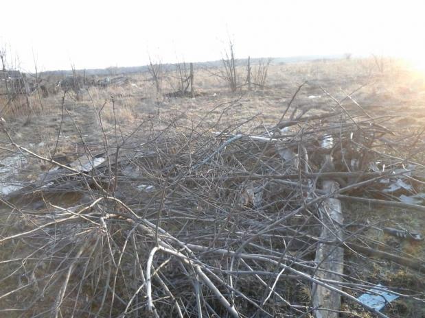 Фото для Выучейская Любовь Николаевна