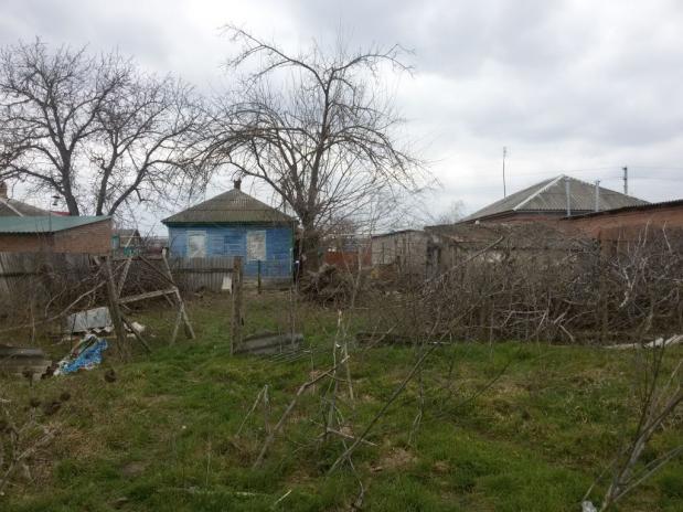 Фото для Склярова Наталья Александровна