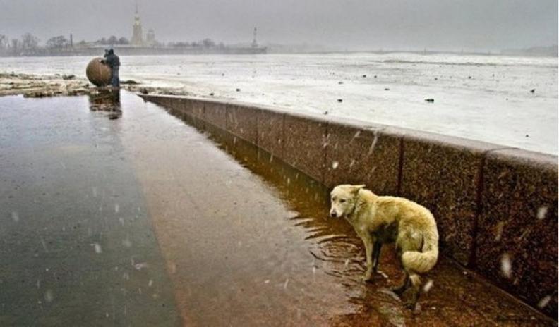 Фото для Людмила