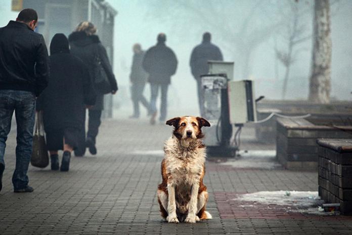 Фото для Людмила