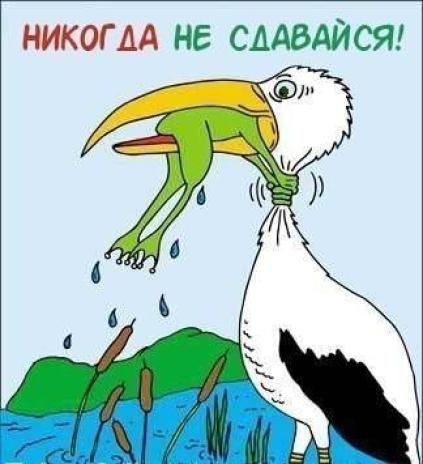 Фото для Шахламазова Малахат Сабировна