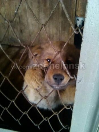 Фото для Корсакова Наталья Андреевна