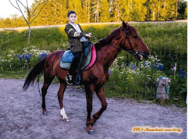 Фото для Дубровина Наталья Владимировна