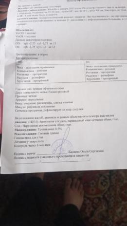 Фото для Зинфира