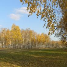 Фото для Шумит страда
