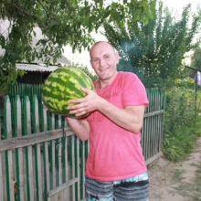 Фото для Человеческая взаимопомощь