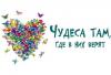 Аватар: Чудинова Диана Сергеевна