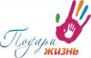 Аватар: Анастасия Купцова